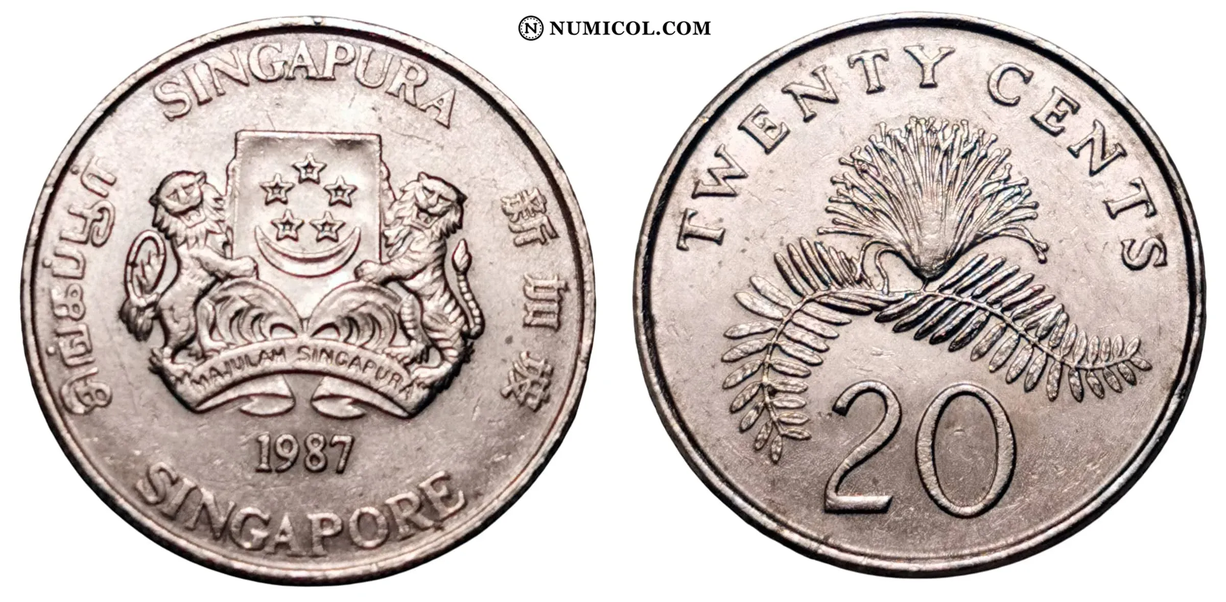 20 Cents (ribbon upwards)